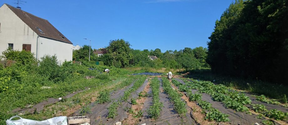 SEVRAN_20250704_103605