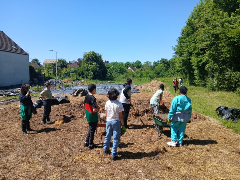 Apport de fumier sur les parcelles