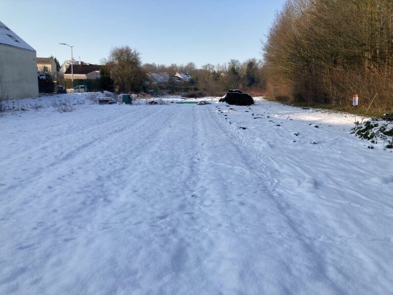 Jardin sous la neige