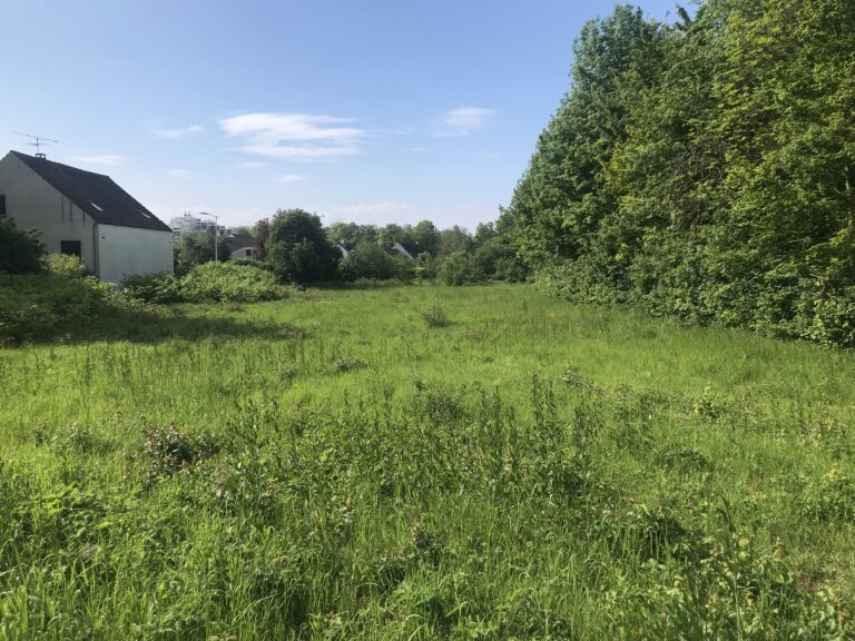 Parcelle en friche - Printemps 2024