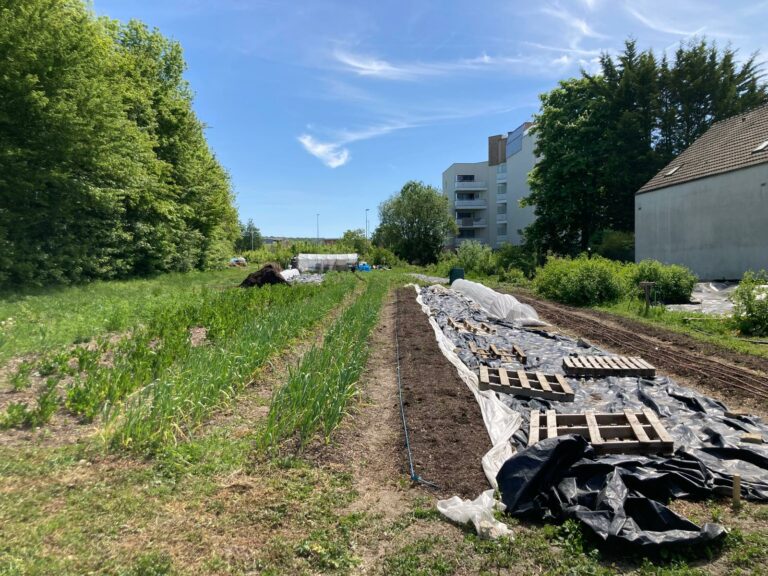 Ferme 2